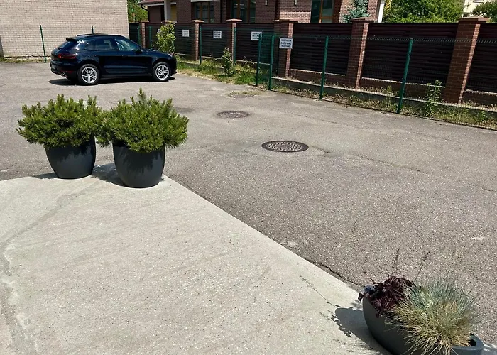 Virginija * Паланга